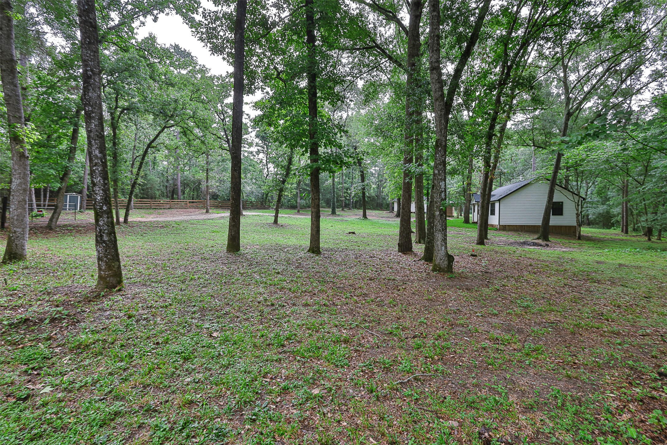 12028 Cedar Lane Conroe, TX 77303 - Photo 28 of 41 a view of outdoor space with trees