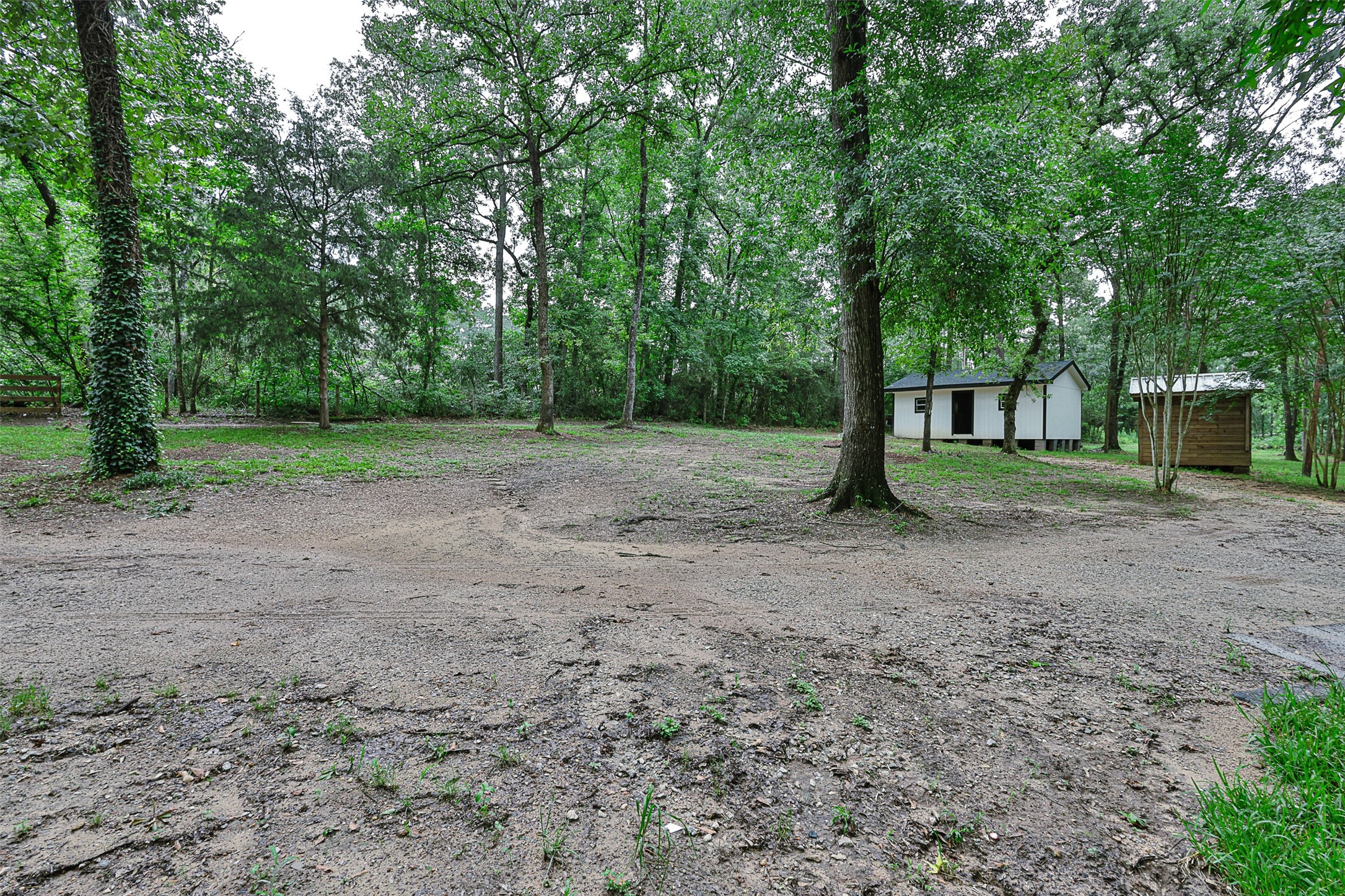 12028 Cedar Lane Conroe, TX 77303 - Photo 30 of 41 a view of outdoor space with tree s