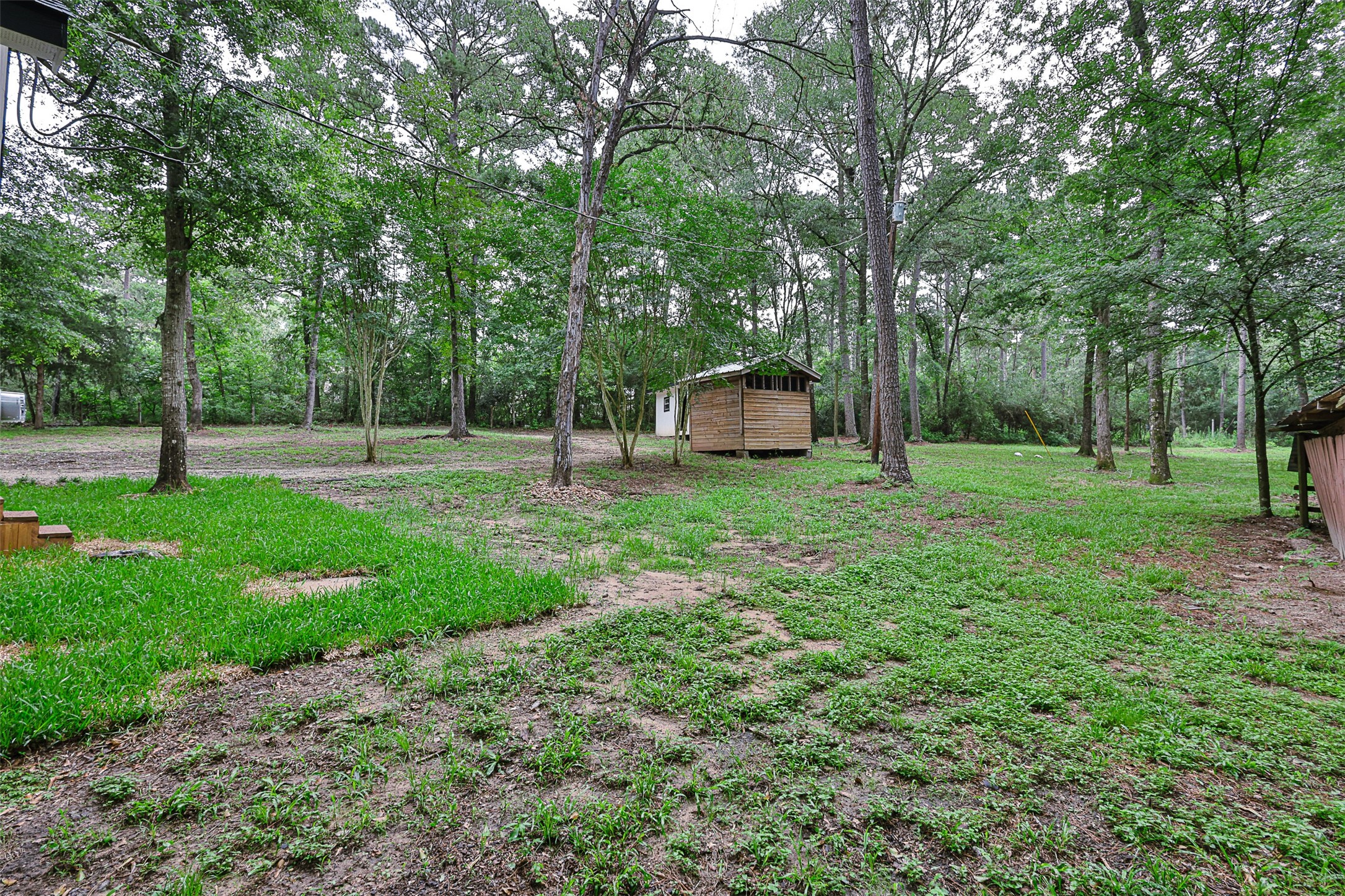 12028 Cedar Lane Conroe, TX 77303 - Photo 34 of 41 a view of park with trees