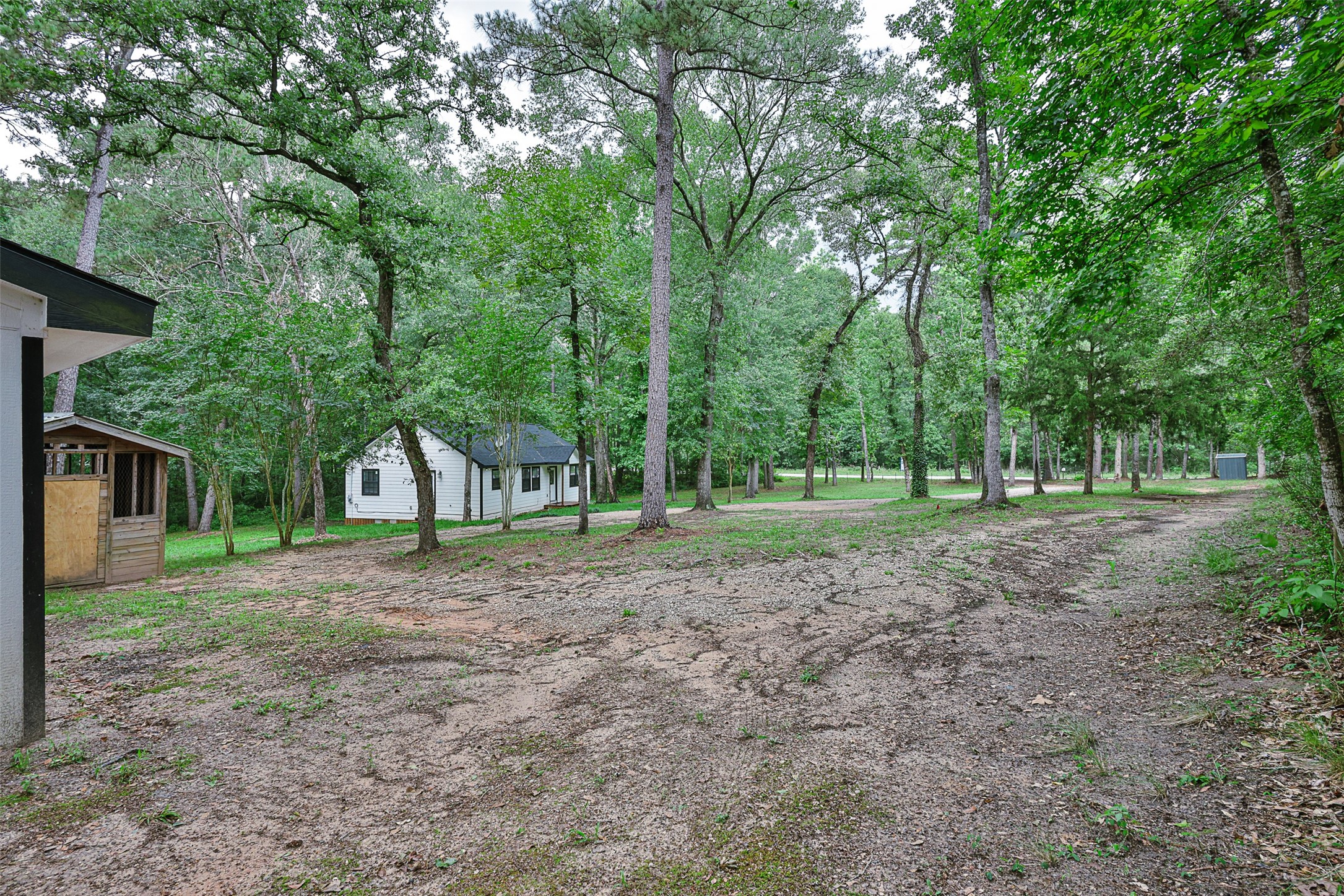 12028 Cedar Lane Conroe, TX 77303 - Photo 36 of 41 a view of a house with a backyard