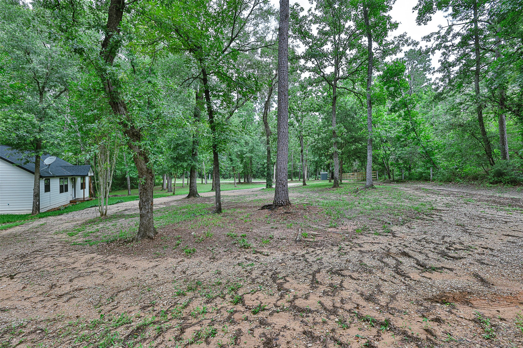 12028 Cedar Lane Conroe, TX 77303 - Photo 38 of 41 a view of a yard with tree s