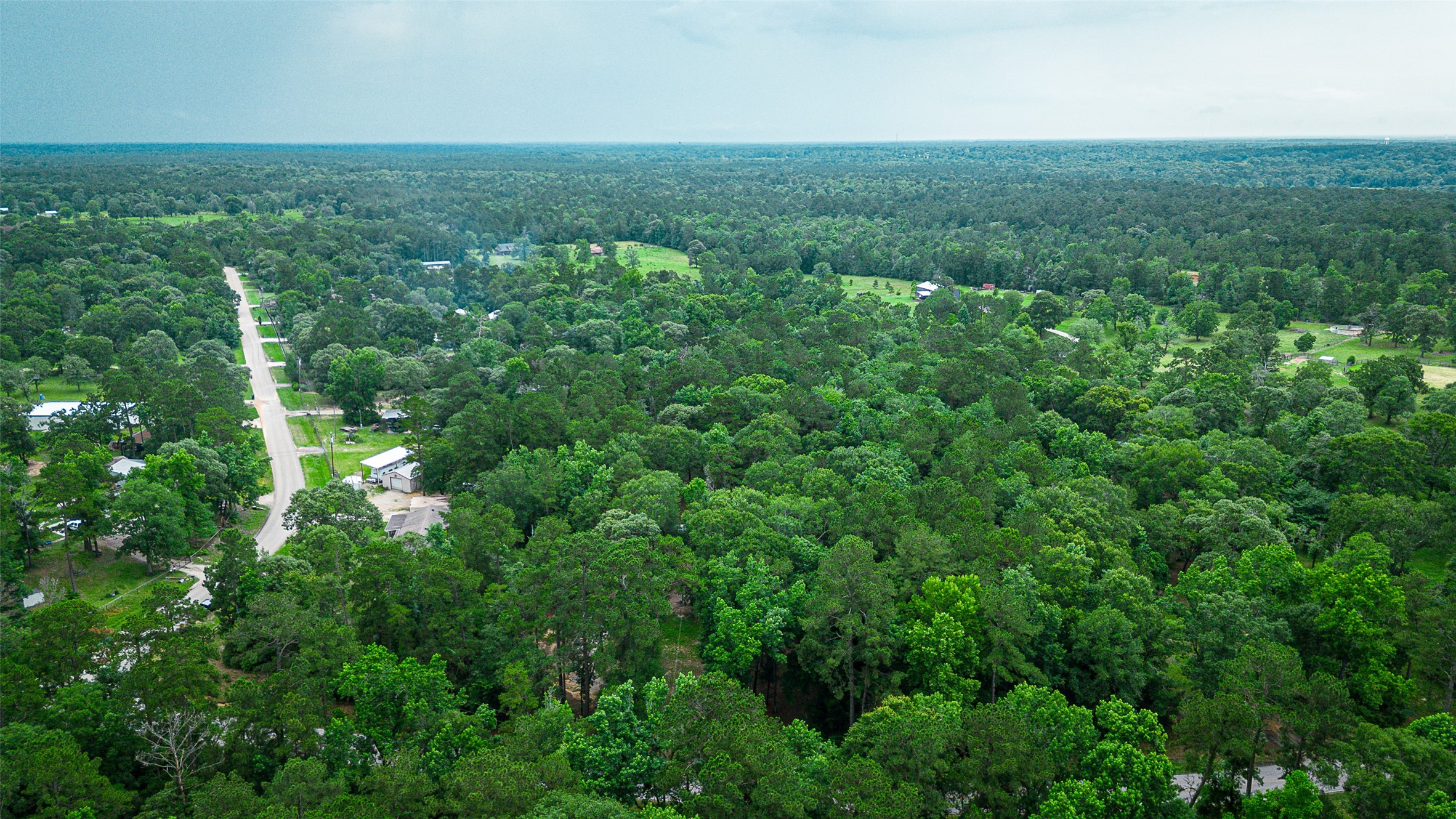 12028 Cedar Lane Conroe, TX 77303 - Photo 41 of 41 an aerial view of residential houses with outdoor space and trees