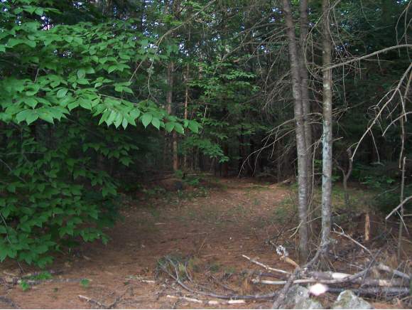 0 Rte 113 Stow, ME 04037 - Photo 1 of 1