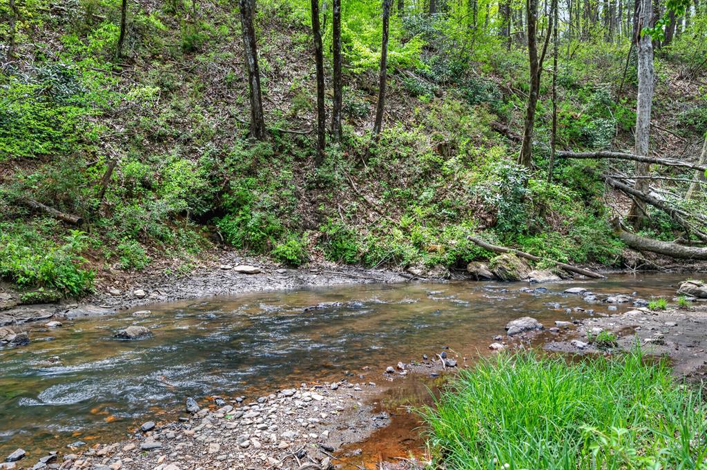 1768 Shelor Road Southwest Meadows Of Dan, VA 24120 - Photo 79 of 92 Gallery Image 79