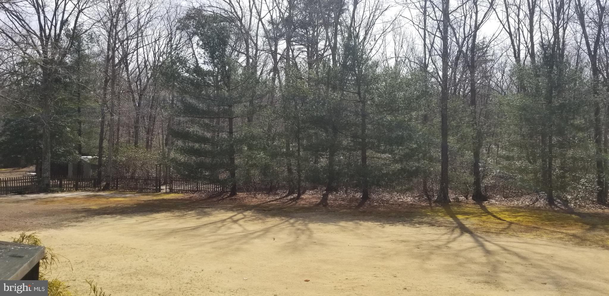 368 Ramah Road Bridgeton, NJ 08302 - Photo 25 of 27 Back yard