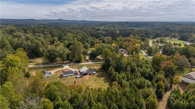a view of a city with mountain