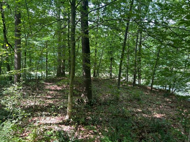 24229 Sanes Creek Road Laurel, IN 47024 - Photo 19 of 54