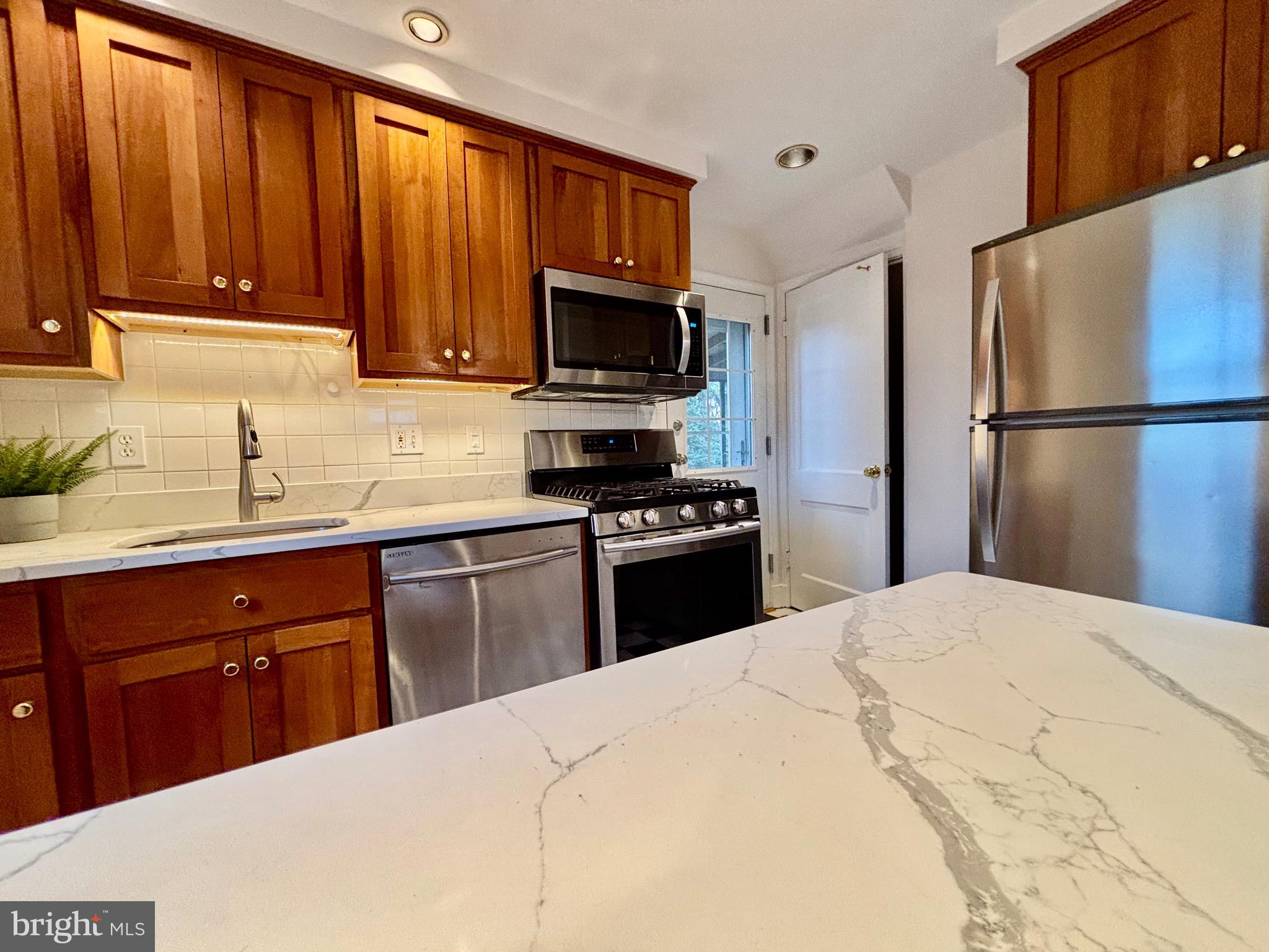 1507 Moffet Road Silver Spring, MD 20903 - Photo 9 of 55 Quartz counters and wood cabinets