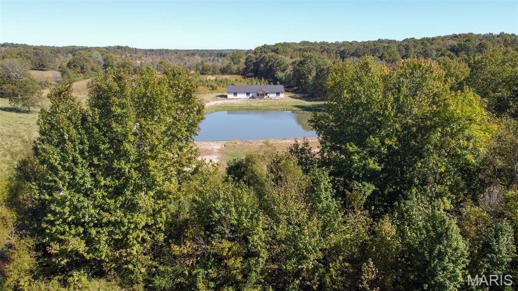 3108 Marble Hill Road Poplar Bluff, MO 63901 - Photo 4 of 32