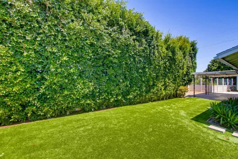a view of a backyard with plants