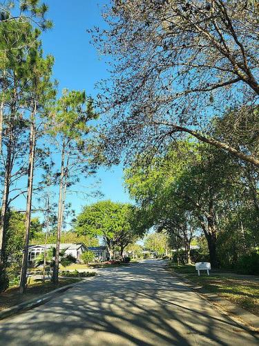 74 Cypress Grove Lane Ormond Beach, FL 32174 - Photo 12 of 12
