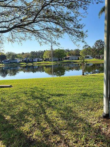 74 Cypress Grove Lane Ormond Beach, FL 32174 - Photo 3 of 12