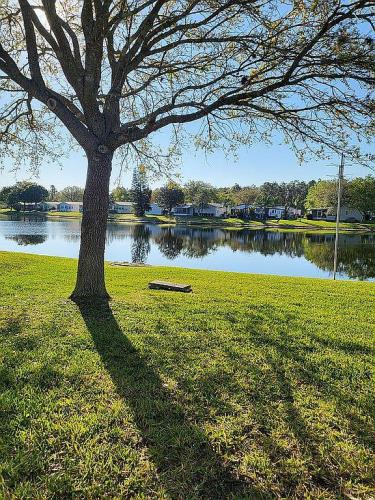 74 Cypress Grove Lane Ormond Beach, FL 32174 - Photo 4 of 12