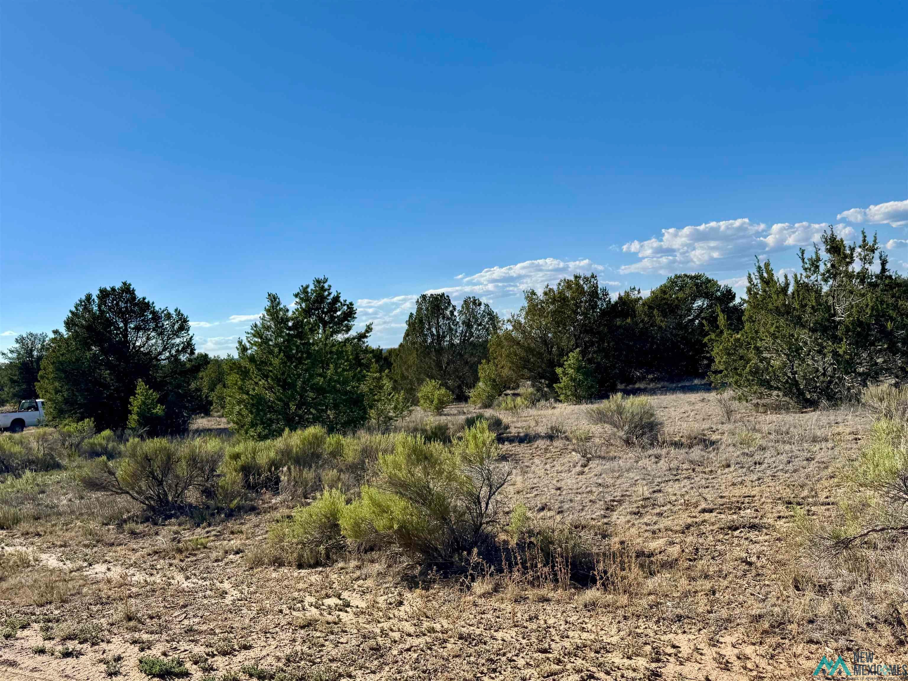 Five Five Gate Road Pinehill, NM 87357 - Photo 2 of 9 Gallery Image 2