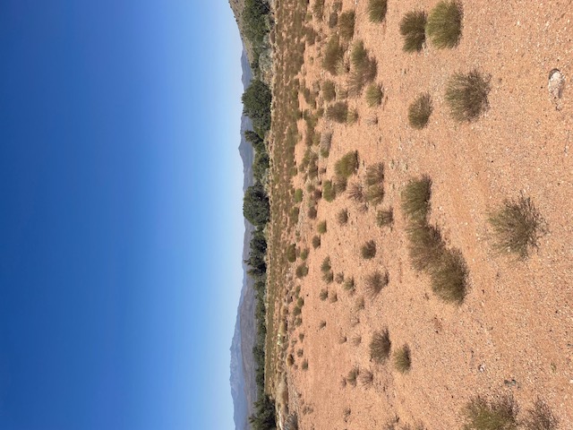 353-30-042 353-30-042 Indian Rice Road Kingman, AZ 86411 - Photo 1 of 18