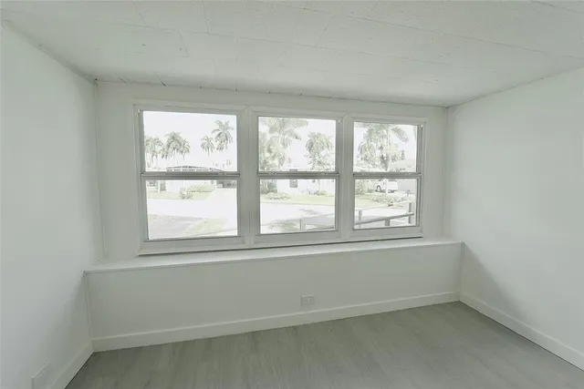 a view of a yard with plants and large trees