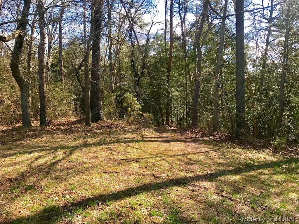 132 Locklies Creek Road Topping, VA 23169 - Photo 33 of 37