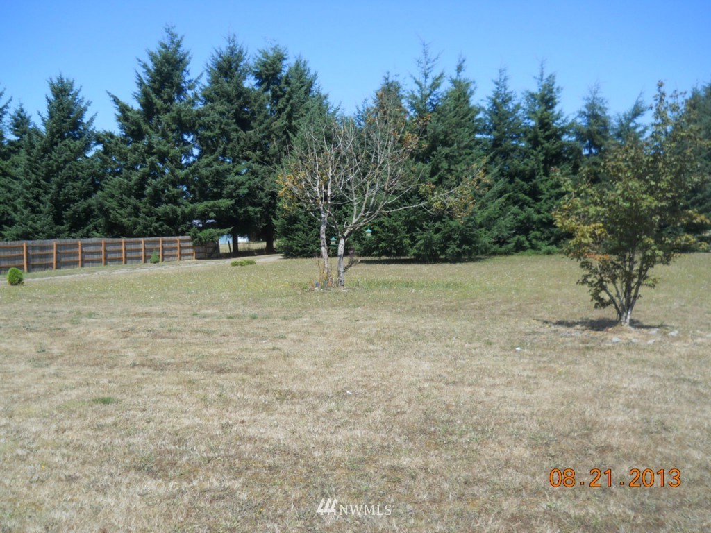 8805 178th Avenue Southwest Rochester, WA 98579 - Photo 4 of 15