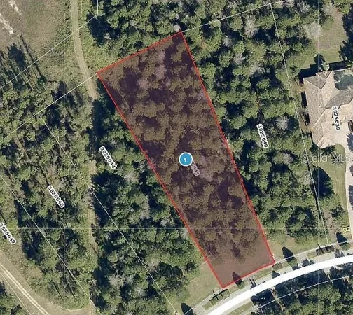 $799,000 | 16036 Pendio Drive, Montverde, FL 34756