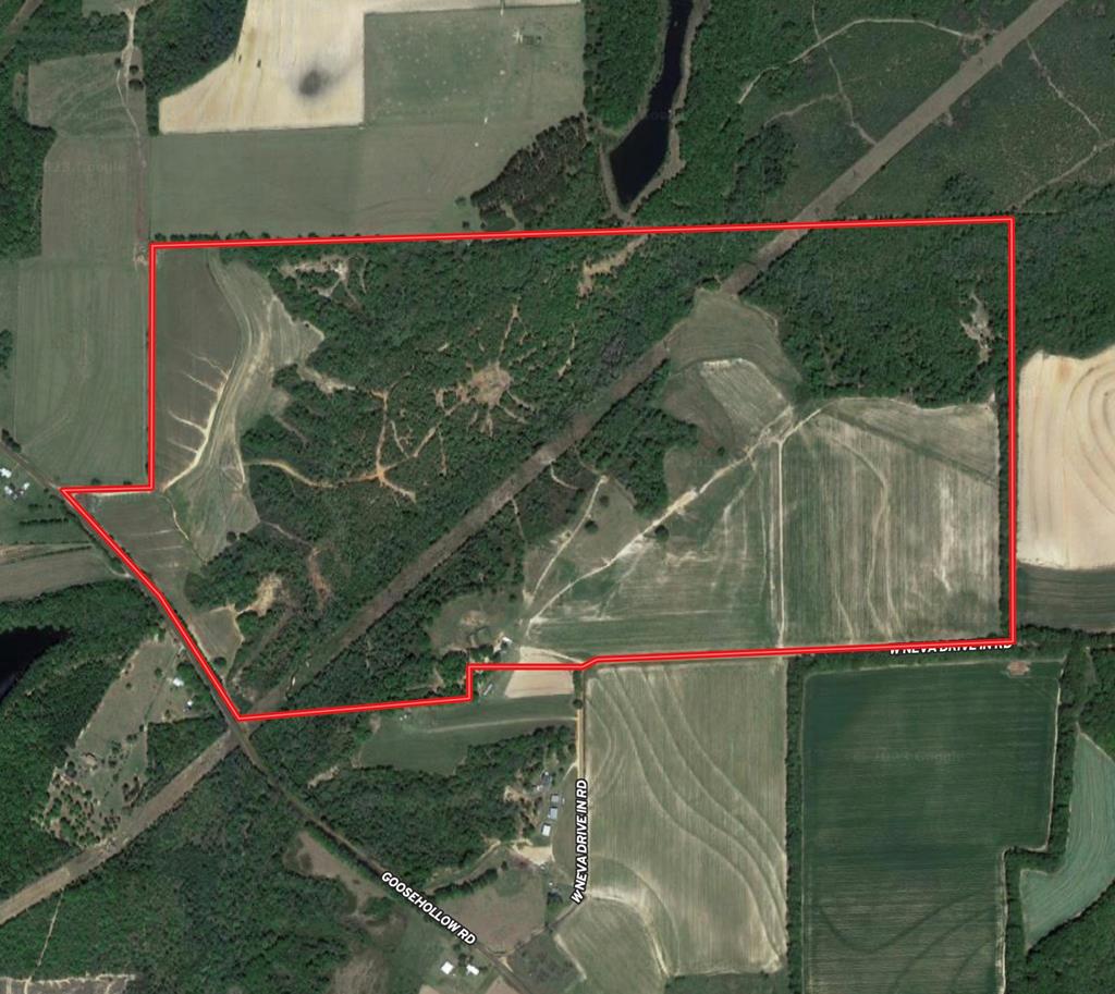 318.5-ac Goose Hollow Road Geneva, AL 36340 - Photo 30 of 50
