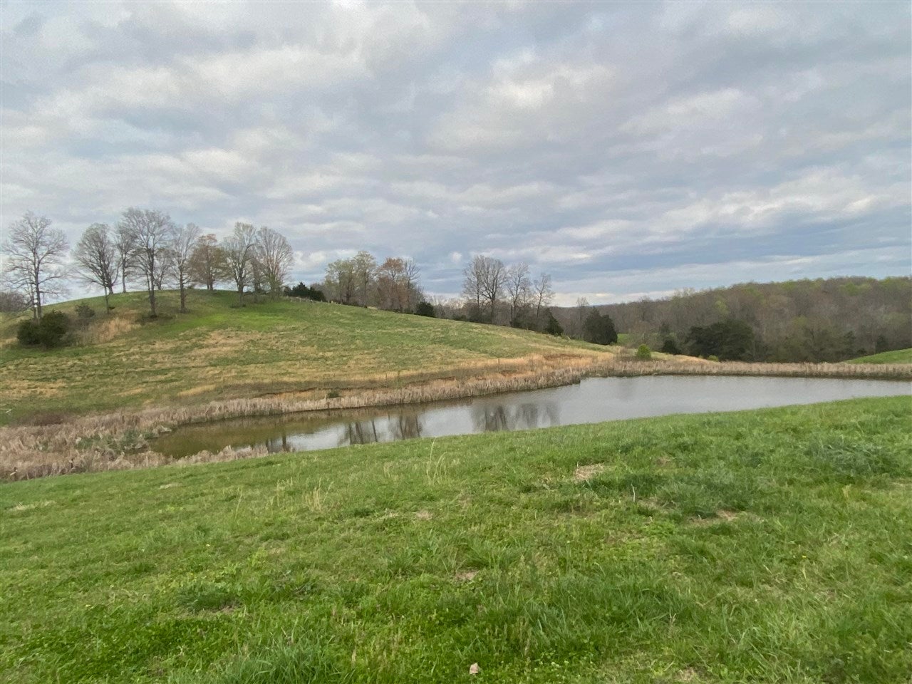 1997 Vernon Road Hestand, KY 42151 - Photo 2 of 21 Gallery Image 2
