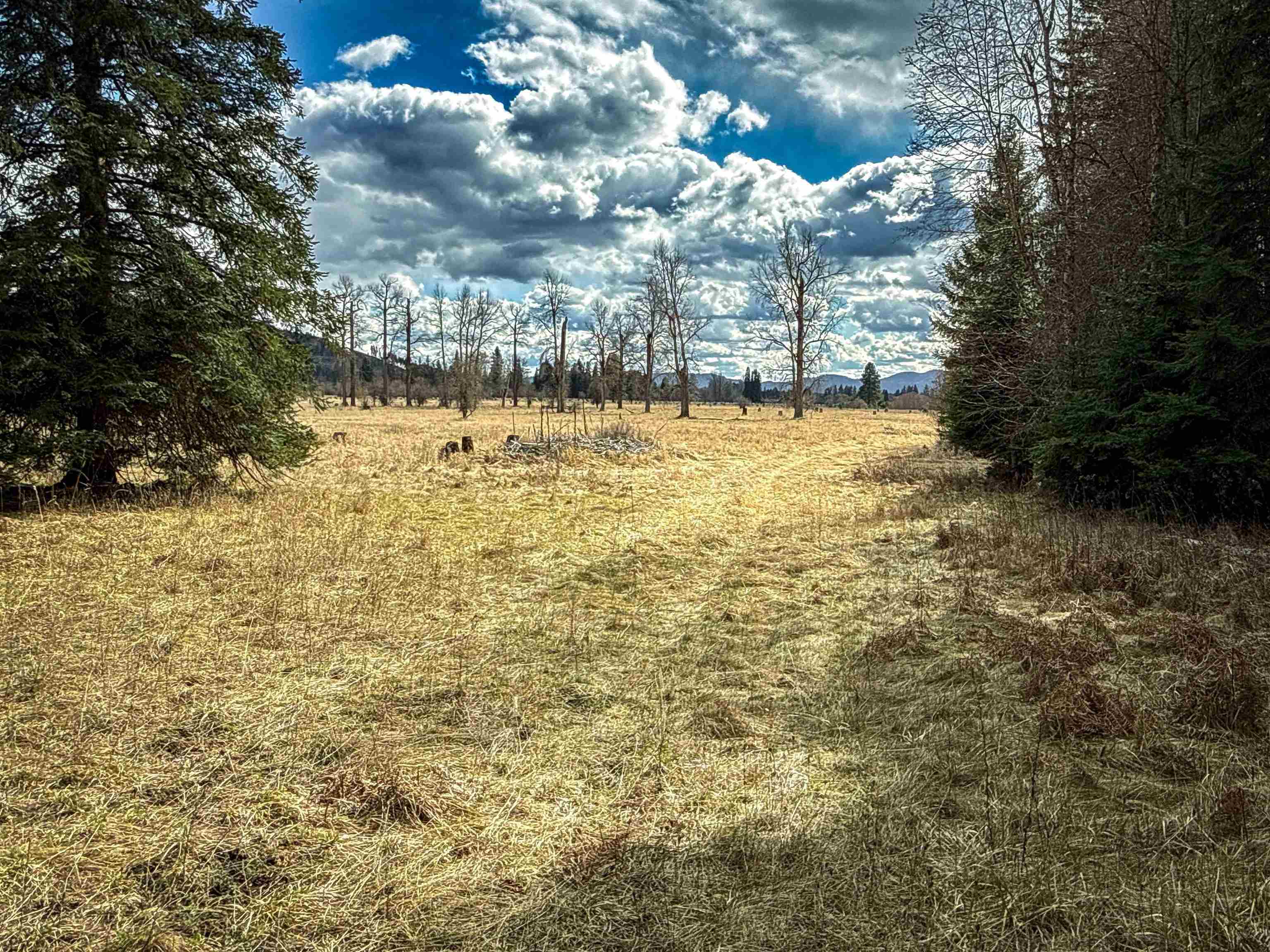 Nka Best Chance Road Usk, WA 99180 - Photo 9 of 50