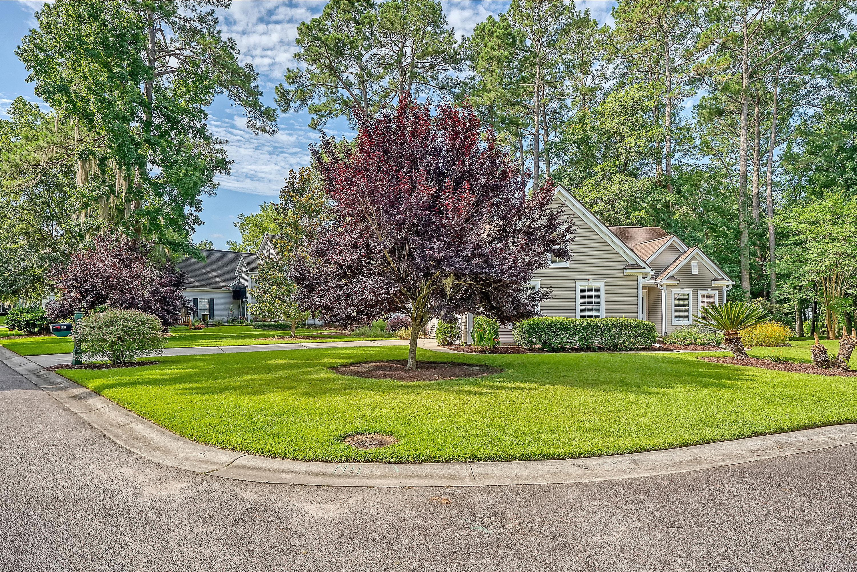 801 Long Drive Road Summerville, SC 29485 - Photo 2 of 37 DSC08944_3-copy