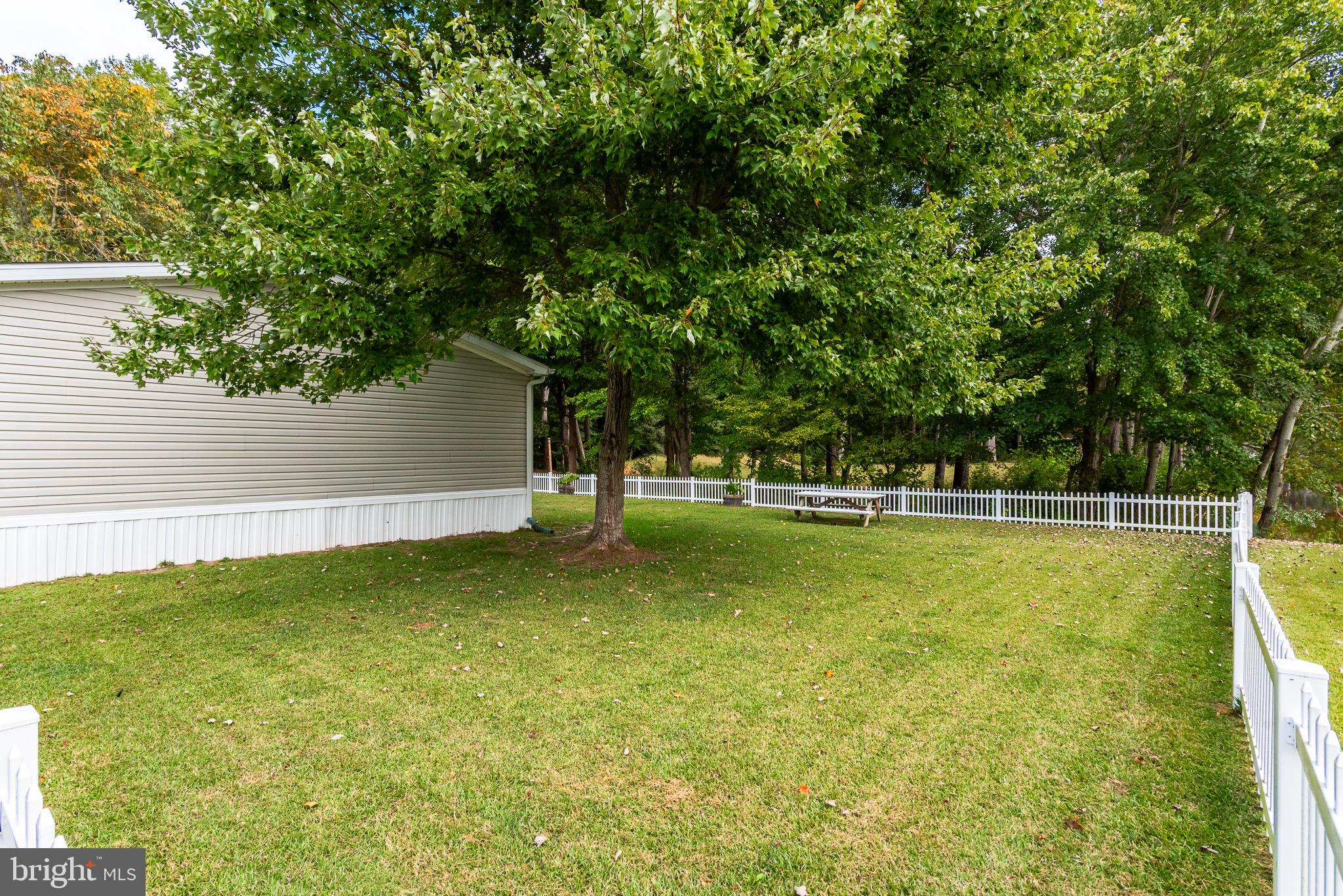 10323 Henry Road, Unit 12 Berlin, MD 21811 - Photo 11 of 52 Shade tree