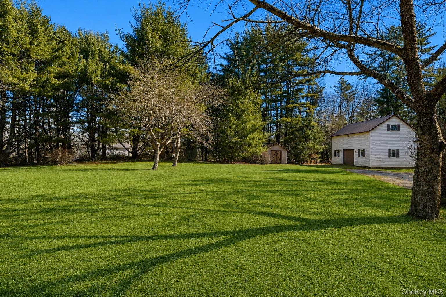 37 Nober Strunk Road Narrowsburg, NY 12764 - Photo 37 of 49 Gallery Image 37