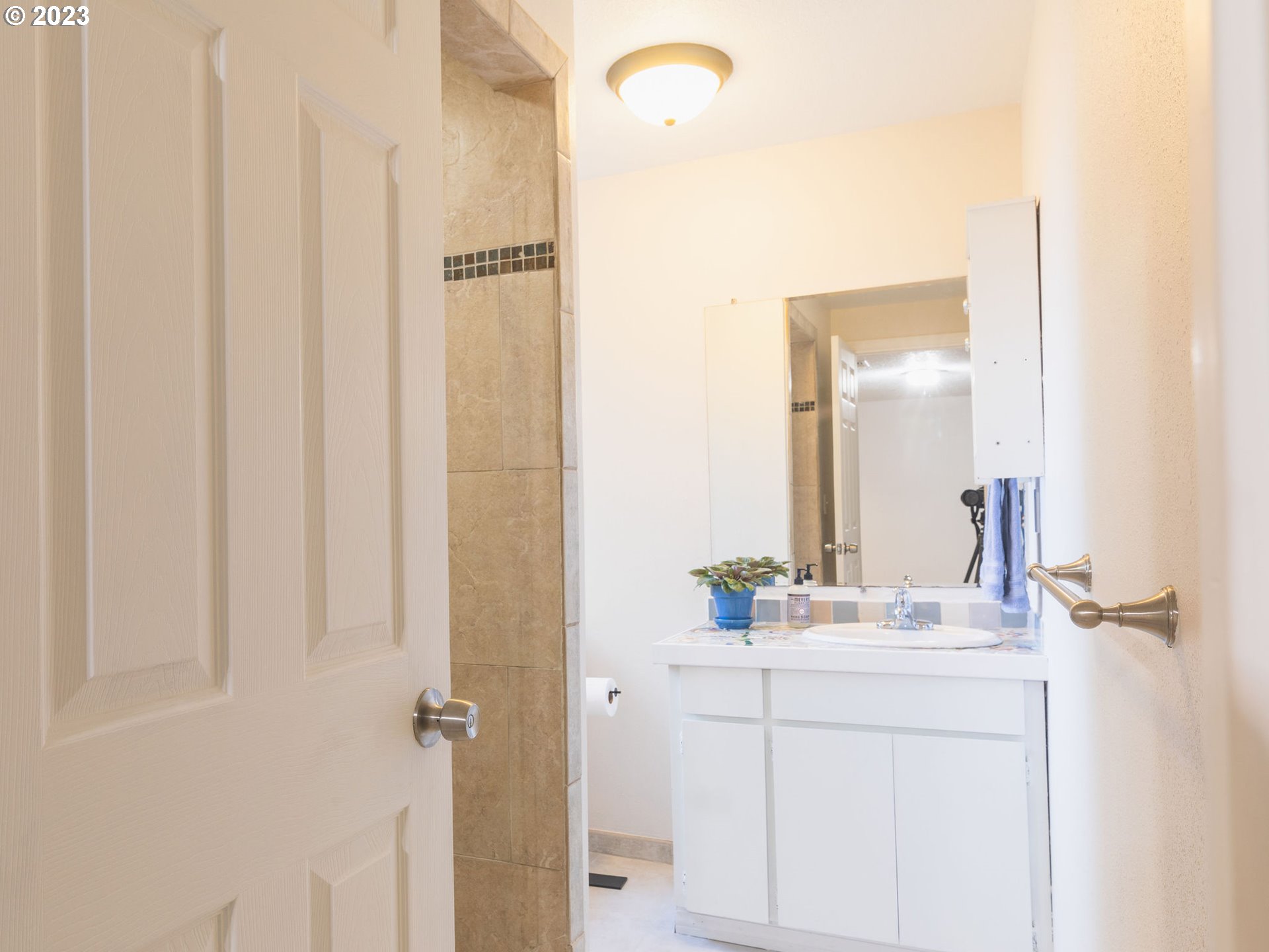 34609 Southeast Hurlburt Road Corbett, OR 97019 - Photo 32 of 48 a bathroom with a sink and a mirror