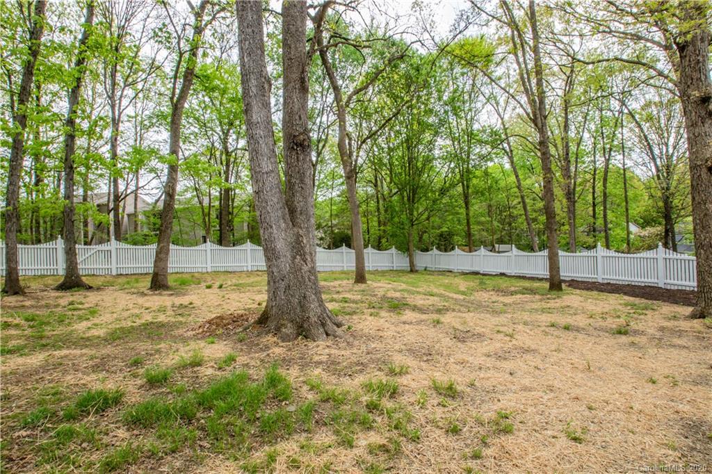10949 Painted Tree Road Charlotte, NC 28226 - Photo 28 of 28 Gallery Image 28