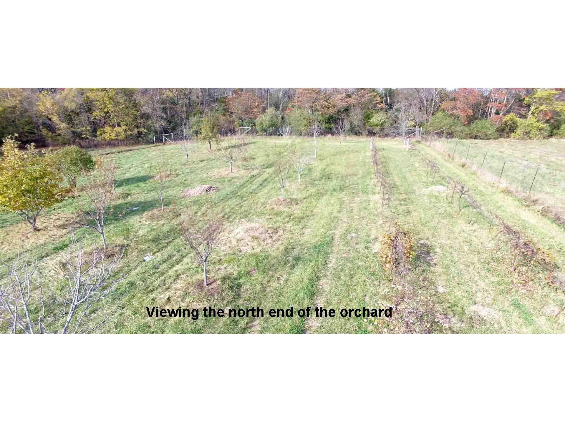 8620 Sunnybrook Road Marion, IL 62959 - Photo 4 of 8