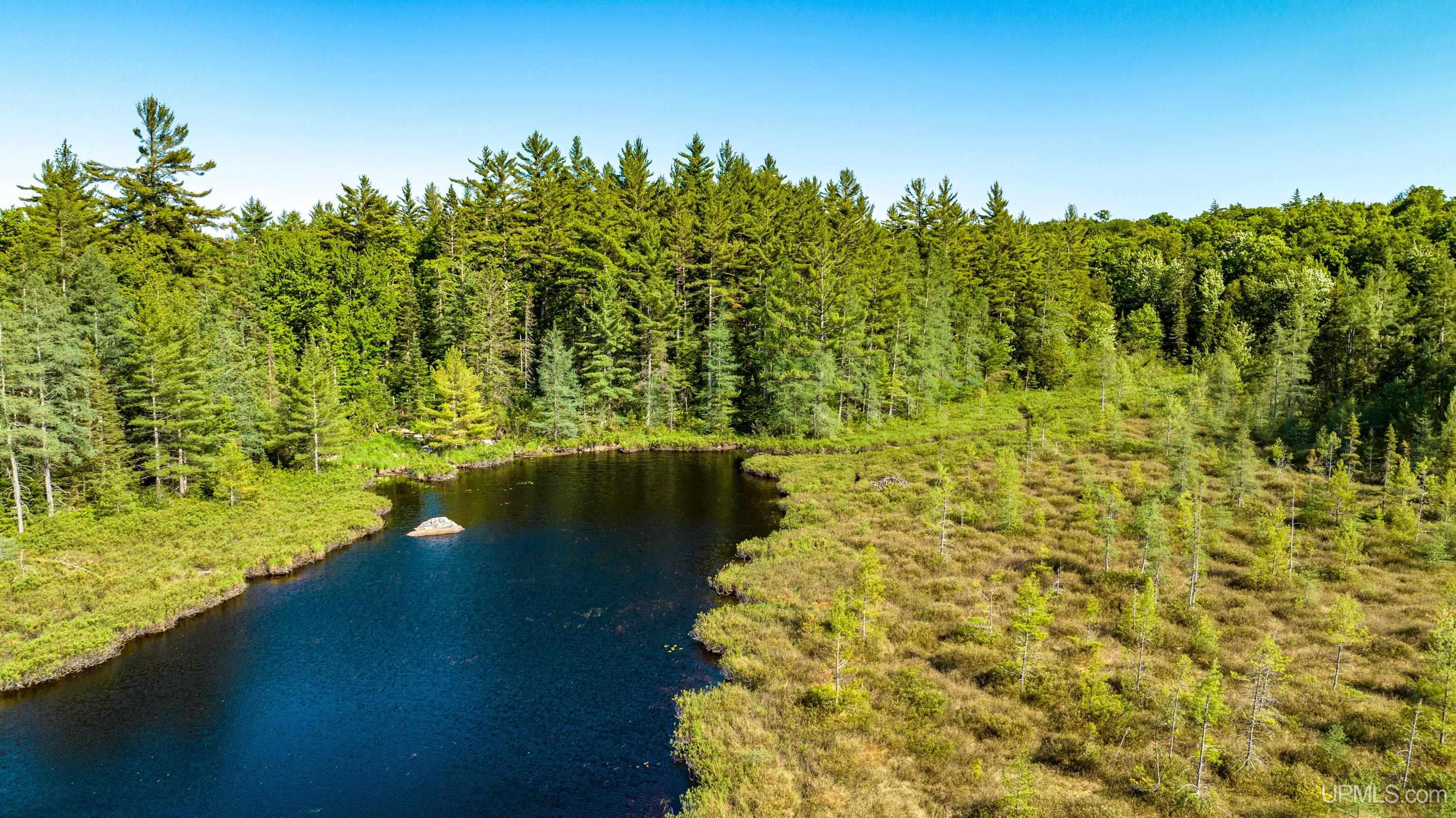 Tbd Tbd Dommer Lake Road Michigamme, MI 49861 - Photo 5 of 25
