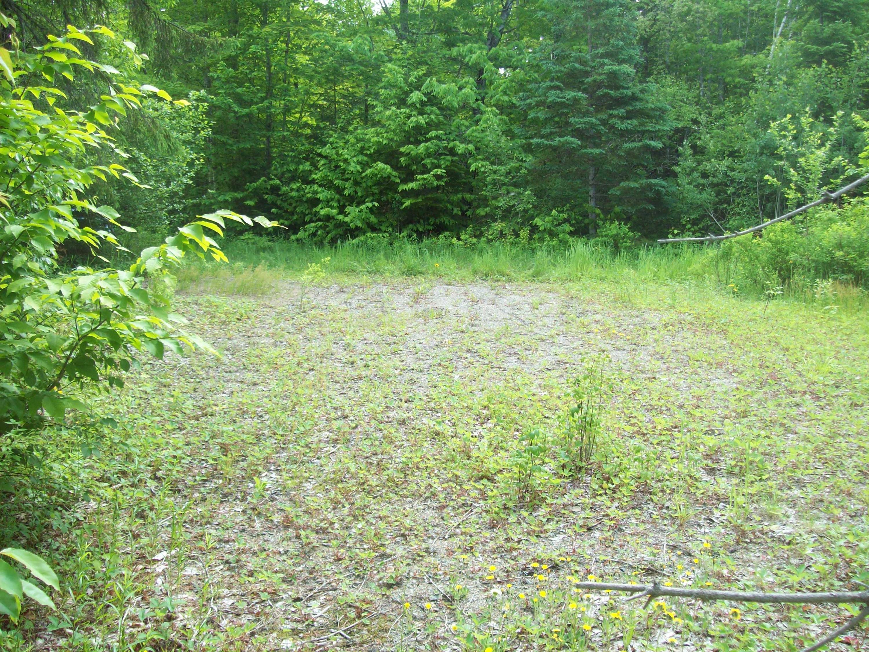 Tbd Kossar Road Carroll Plt, ME 04487 - Photo 10 of 11 100_0331