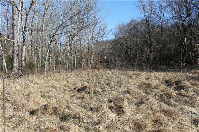 5091 Miller Lake Road Culleoka, TN 38451 - Photo 13 of 20 Gallery Image 13