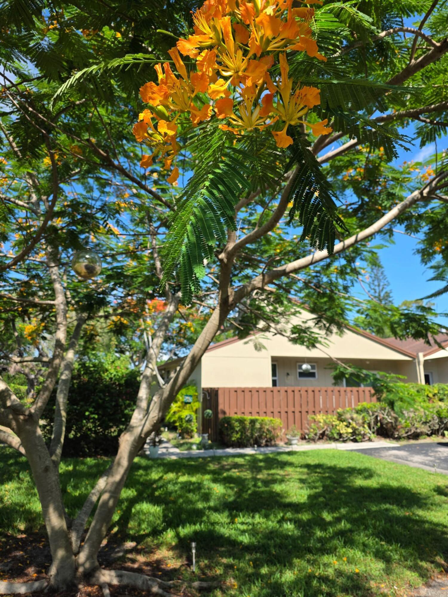 11600 Timbers Way, Unit 37A Boca Raton, FL 33428 - Photo 3 of 3 07a0a677-bfad-4224-9d39-890cfc16b963