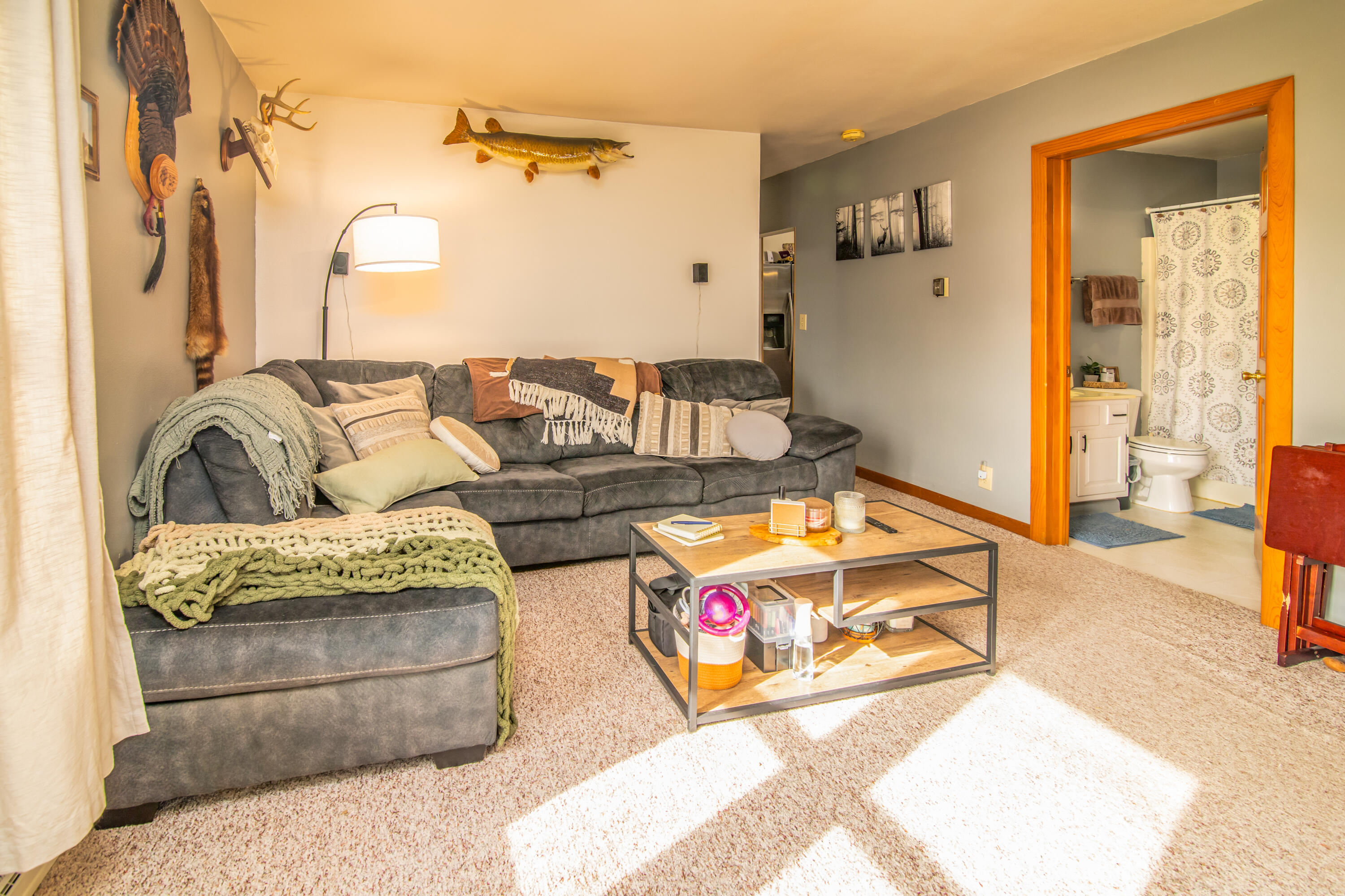 244 Williams Street Randolph, WI 53956 - Photo 3 of 11 244 Williams St-4-Edit