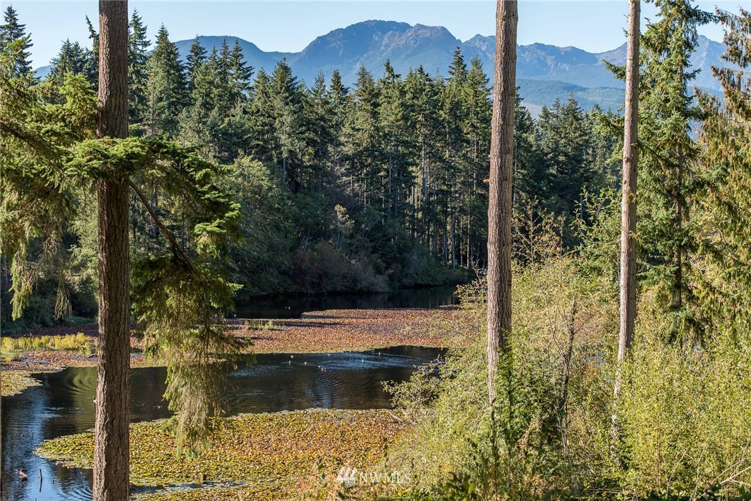 513 Walker Valley Road Port Angeles, WA 98362 - Photo 2 of 25