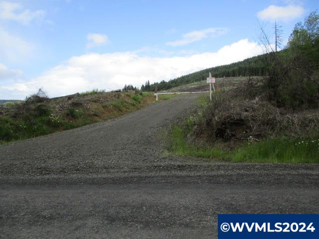 0 Northwest Fairdale Road Yamhill, OR 97148 - Photo 26 of 27