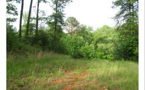 17 Ocoee Trail Blue Ridge, GA 30513 - Photo 1 of 1 Main View