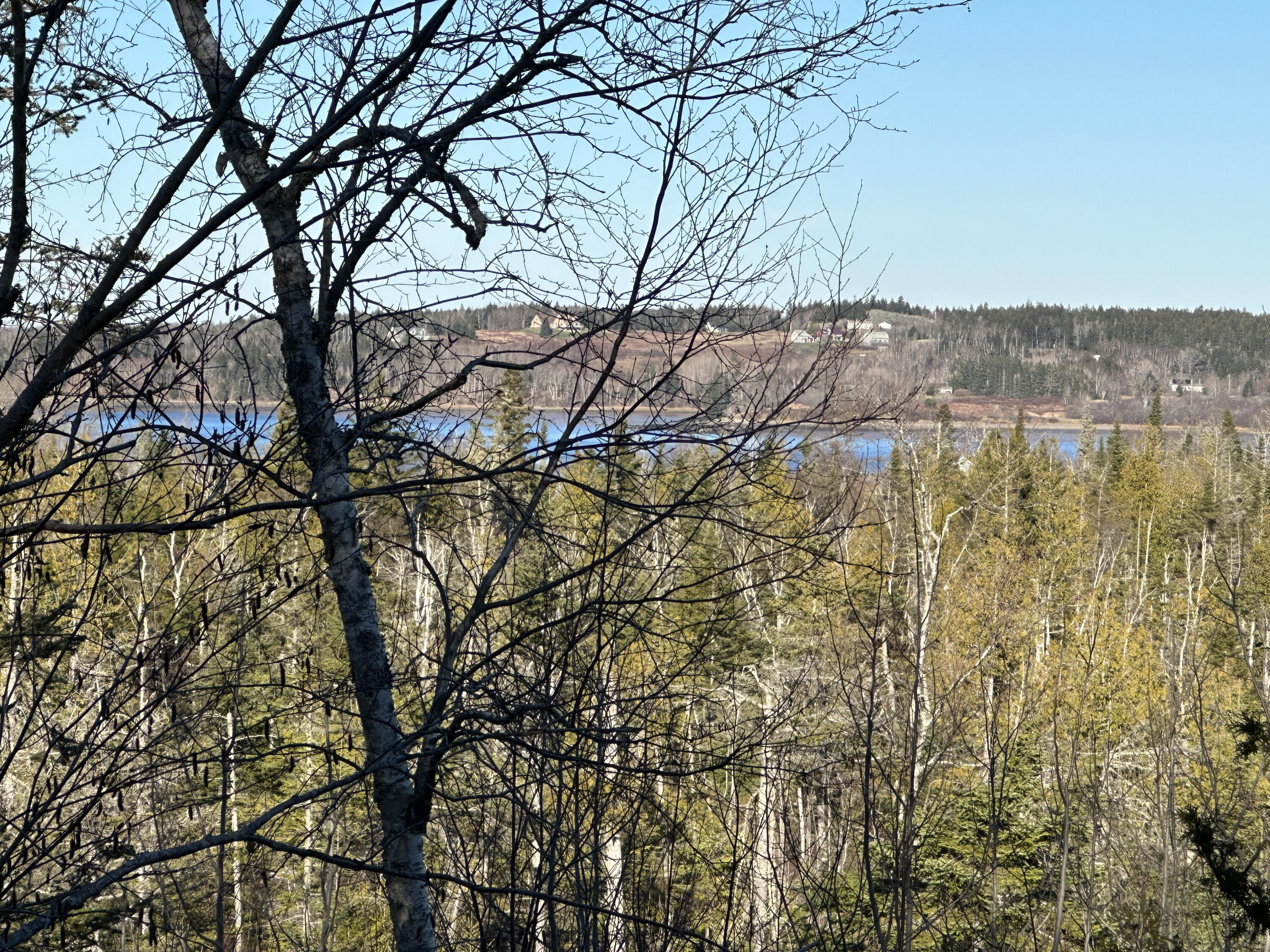 808 Port Road Machiasport, ME 04655 - Photo 4 of 43 Waterview from backyard with zoom lens