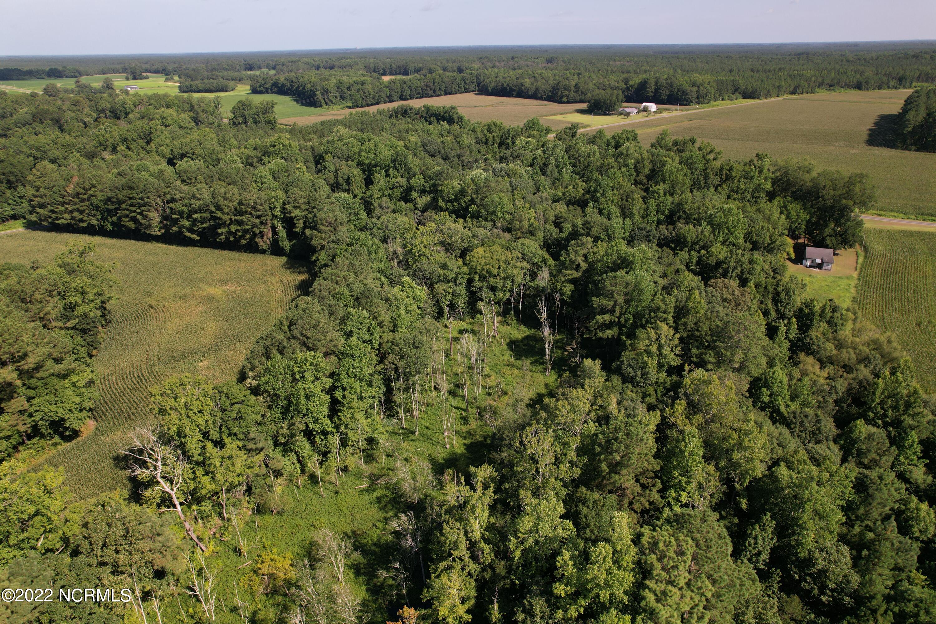 796 Page Road Clarkton, NC 28433 - Photo 6 of 8 Image 6