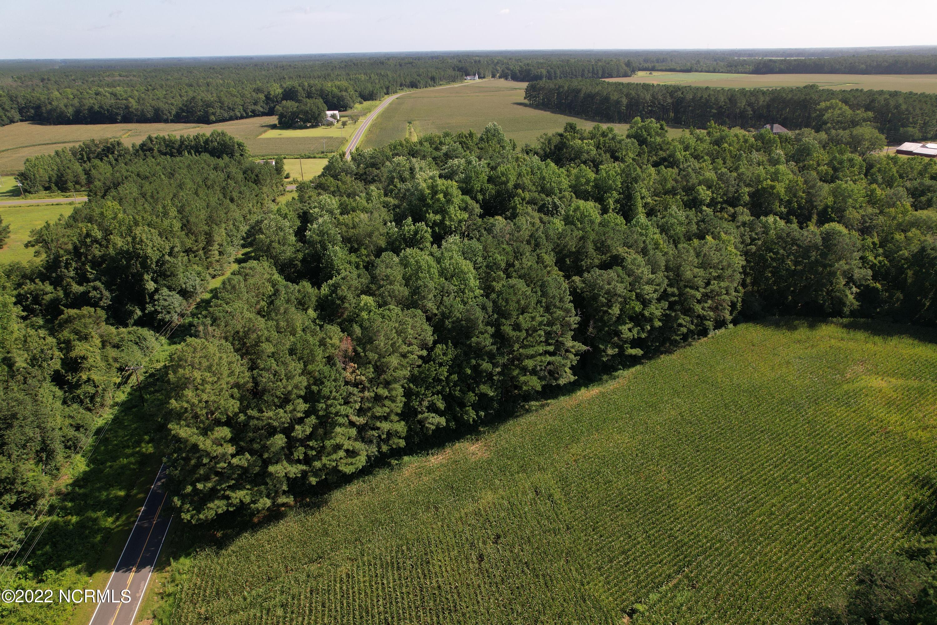 796 Page Road Clarkton, NC 28433 - Photo 8 of 8 Image 8