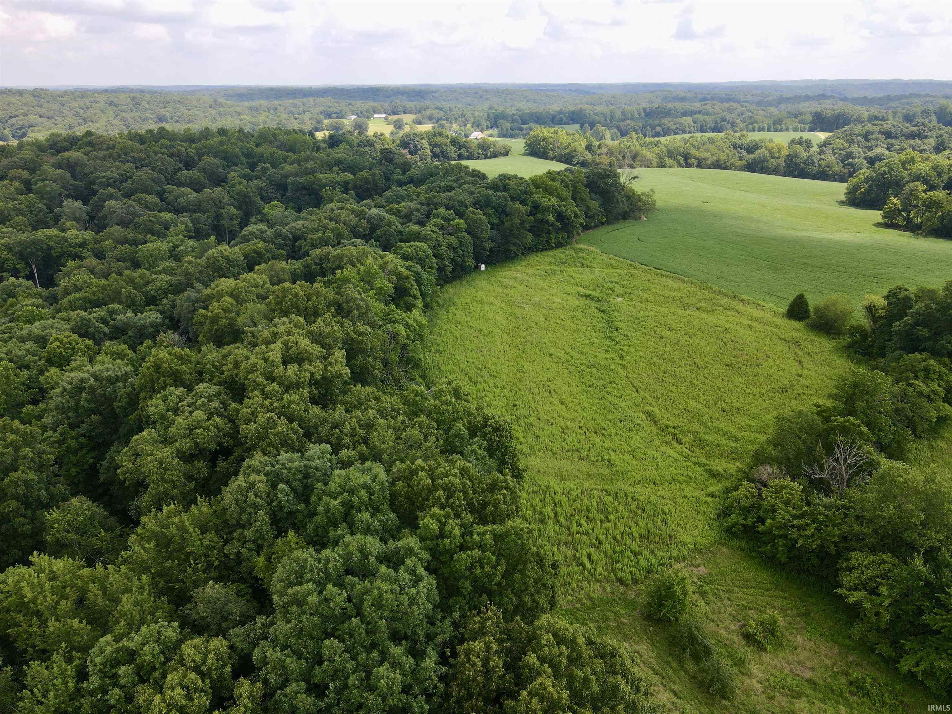 Off Candlestick Road Bristow, IN 47515 - Photo 14 of 30