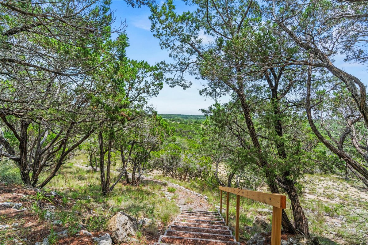 167 Wimberley Ranch Drive Wimberley, TX 78676 - Photo 35 of 40 a picture of trees