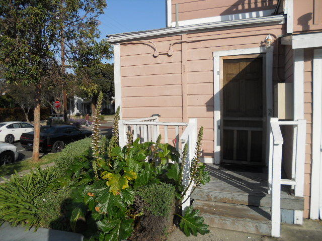 703 Castillo Street, Unit 2 Santa Barbara, CA 93101 - Photo 3 of 8 a view of front door and potted plants