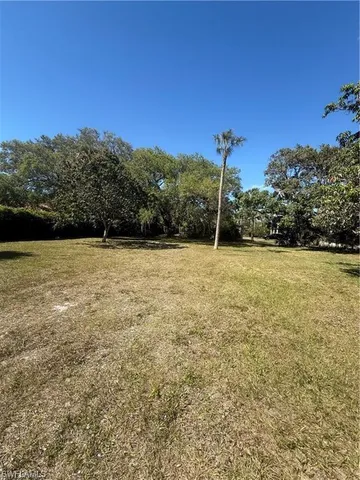 a view of a lake with a tree