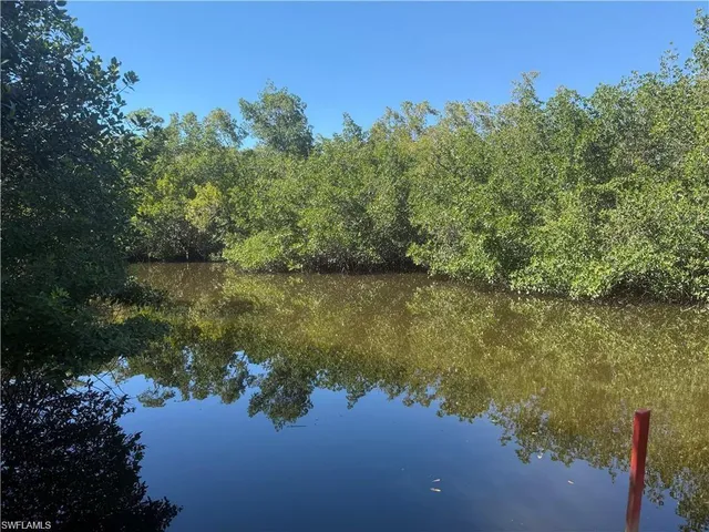 a view of a field with a tree