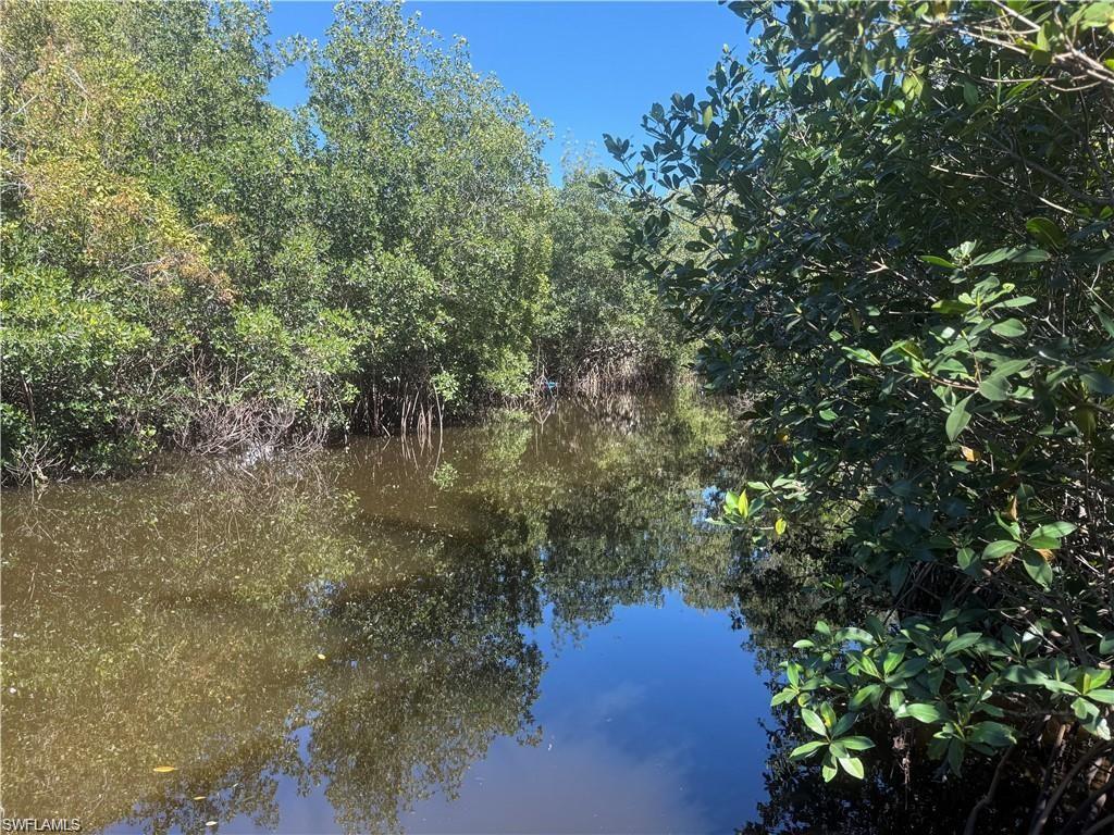 1063 Shadowlawn Drive Naples, FL 34104 - Photo 15 of 20 a view of a lake with a tree