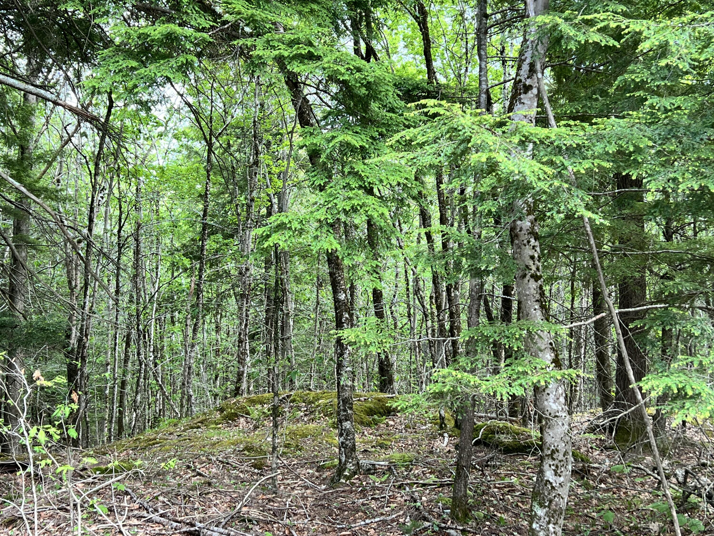 139 A Pratt Road Bowdoinham, ME 04008 - Photo 6 of 17 7
